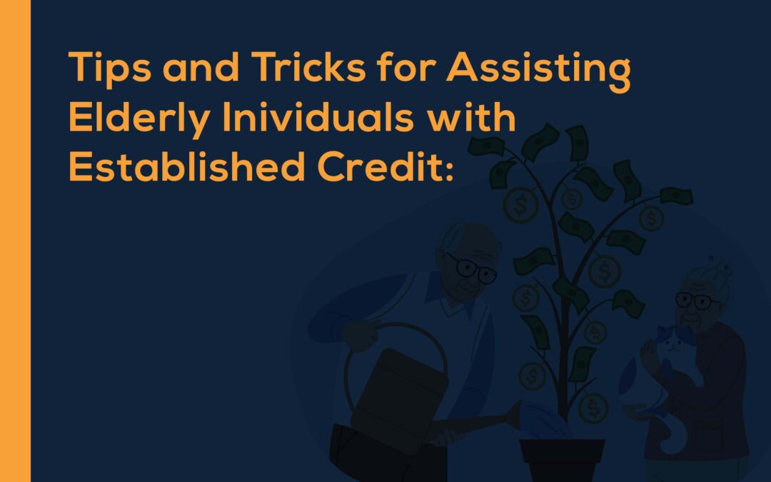 Tips and Tricks for Assisting Elderly Individuals with Established Credit